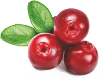 cherry